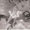 464. Feste 1953 R. Pleban